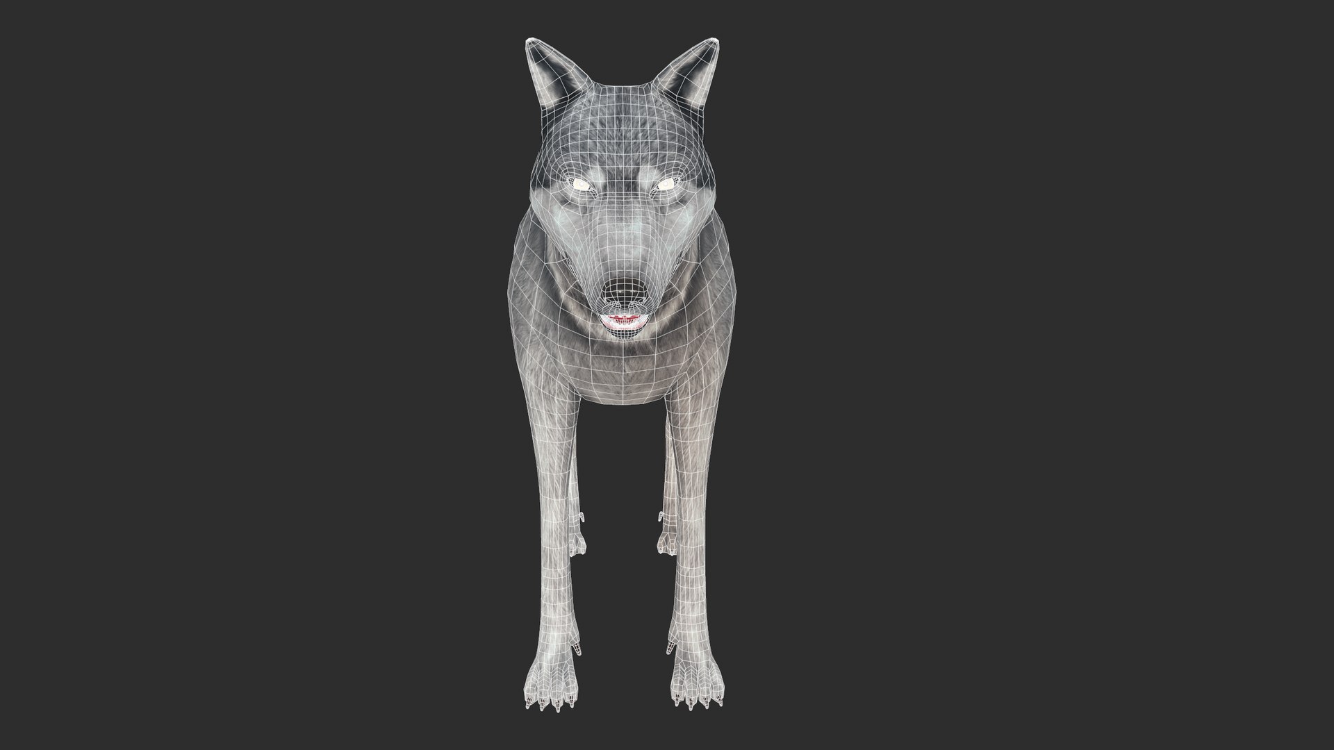 3D nature animal mammals model https://p.turbosquid.com/ts-thumb/qE/jMzlLP/fW/screenshot007/png/1611577031/1920x1080/fit_q87/9da9fdead036f99d1d1738798a43411818bf3c50/screenshot007.jpg