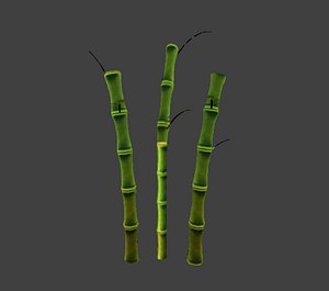 Bambu (bamboo)