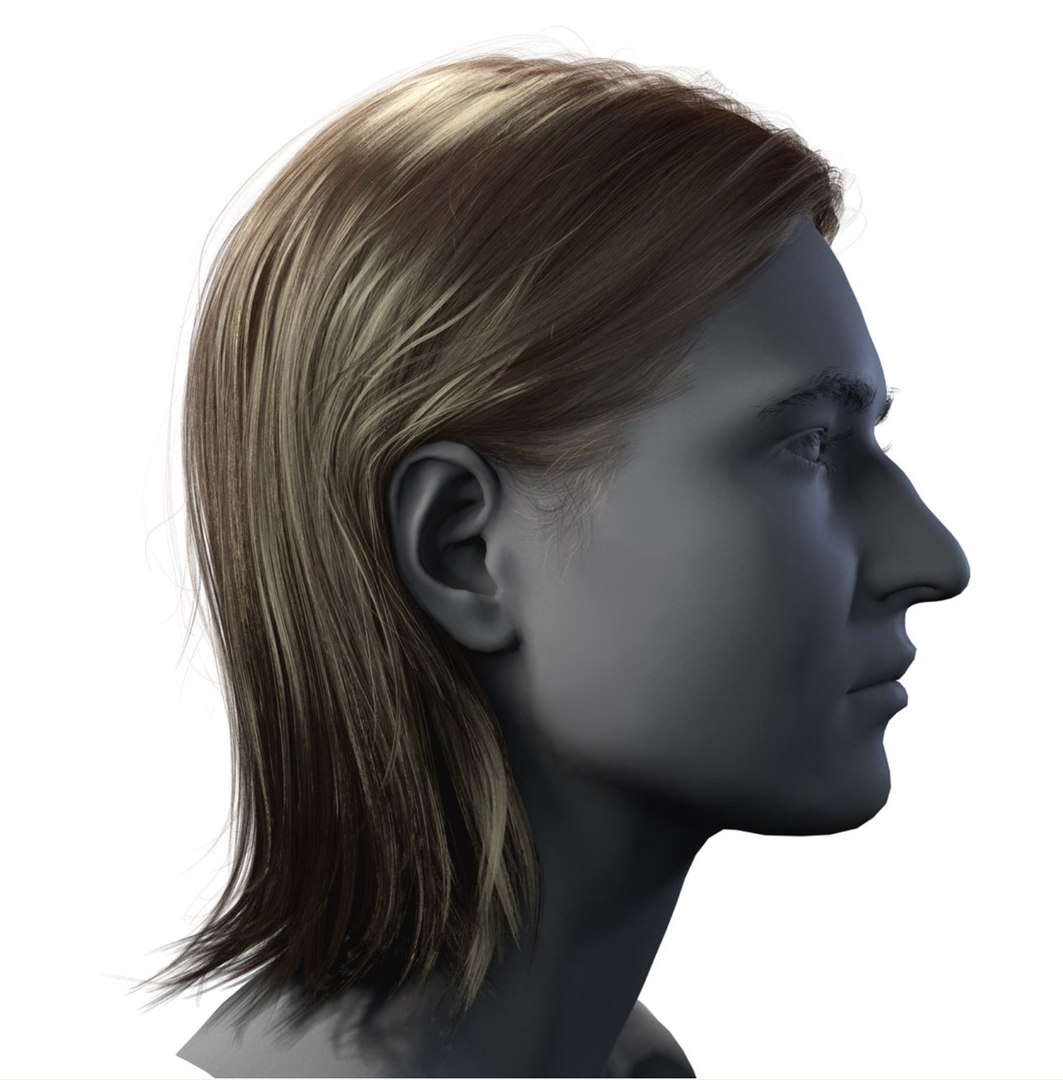 Real-time Hair model https://p.turbosquid.com/ts-thumb/qE/sSCP7g/Vh/screenshot20251128005321/png/1764287941/1920x1080/fit_q87/ce8f46254b282871c972e731ab79d49a8538217c/screenshot20251128005321.jpg