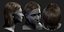Real-time Hair