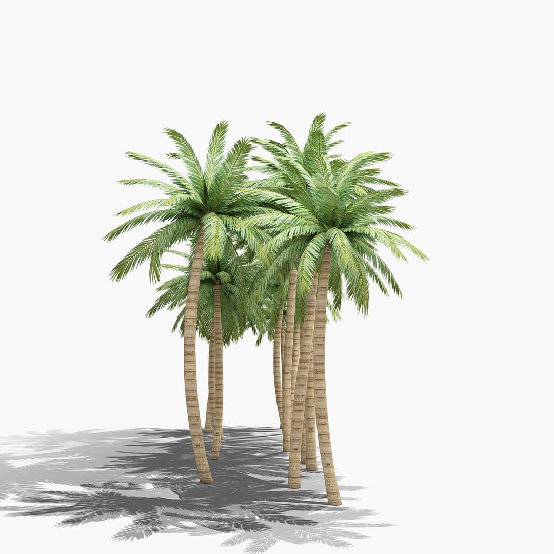 palm trees 3d max