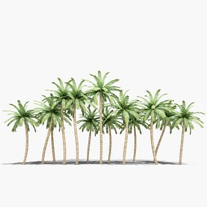 palm trees 3d max