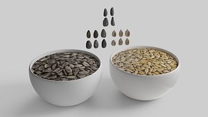 3D Sunflower seed