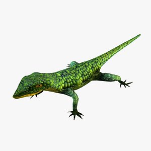 3D Mexican alligator lizard model