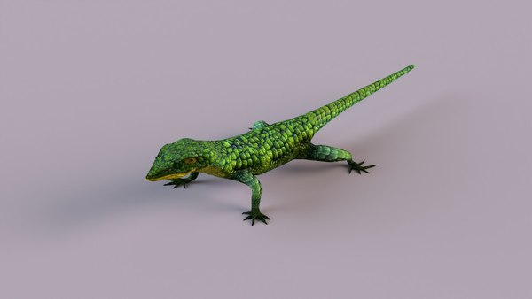 メキシコ トカゲのオブジェクト メキシコ トカゲのオブジェクト