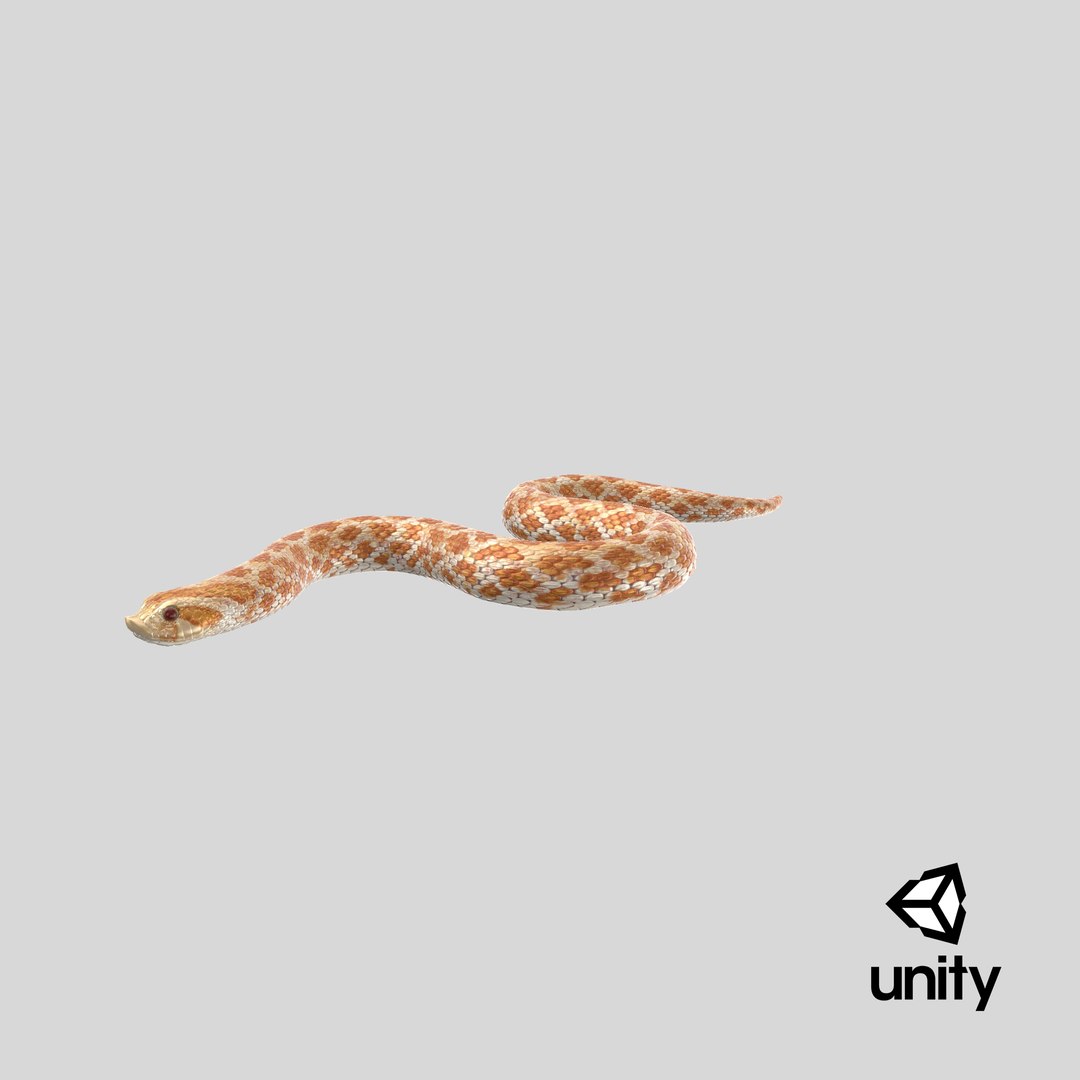 3D hognose snake crawling https://p.turbosquid.com/ts-thumb/qF/HRV0Ed/Mj/stemcell_unity_render/png/1700126001/1920x1080/fit_q87/58dcd38ea2d4c1953fed767d35a1ceefd8a872df/stemcell_unity_render.jpg