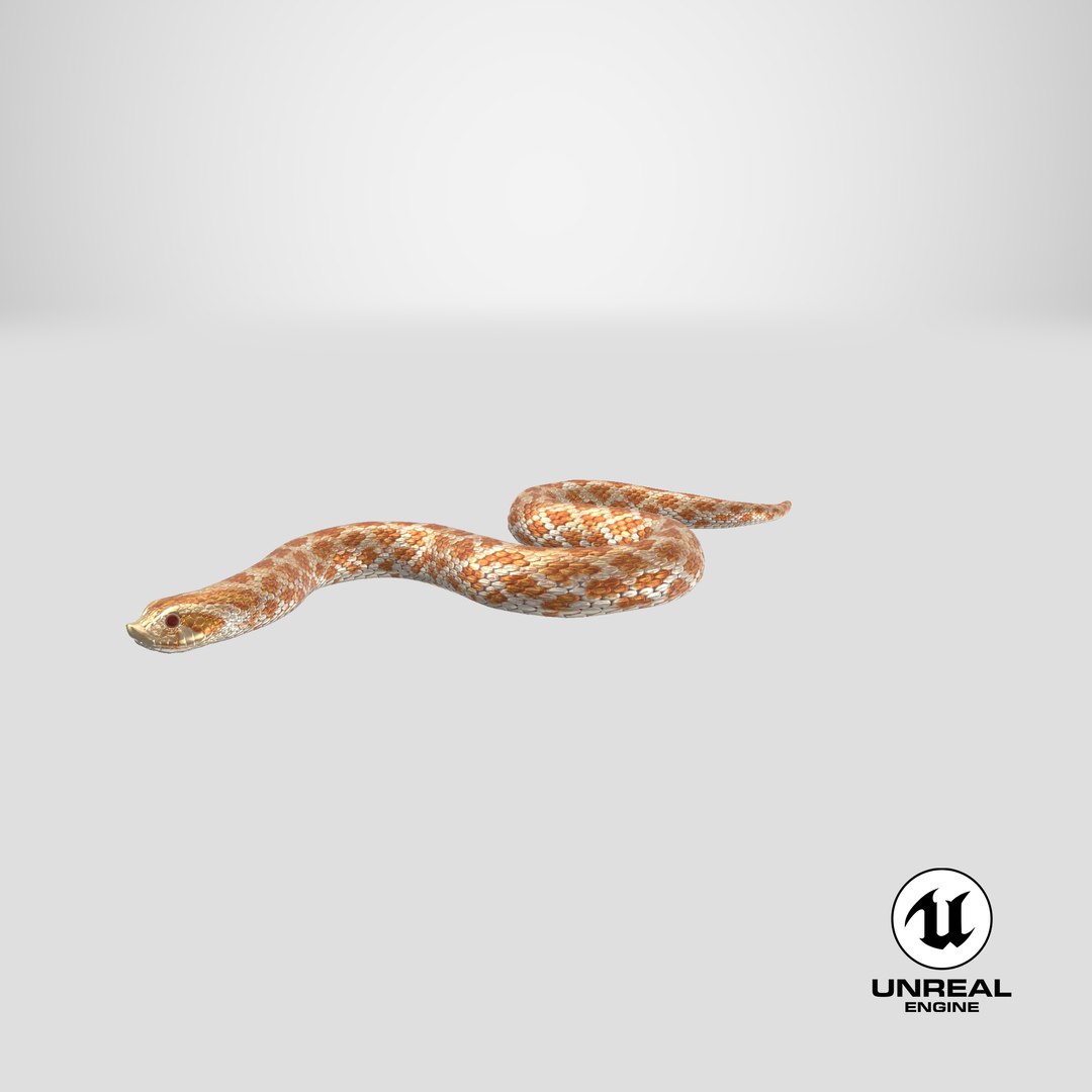 3D hognose snake crawling https://p.turbosquid.com/ts-thumb/qF/HRV0Ed/VU/stemcell_unreal_render/png/1700125999/1920x1080/fit_q87/abc21121b5c3a5d755af9299c3240d5236aa4e43/stemcell_unreal_render.jpg
