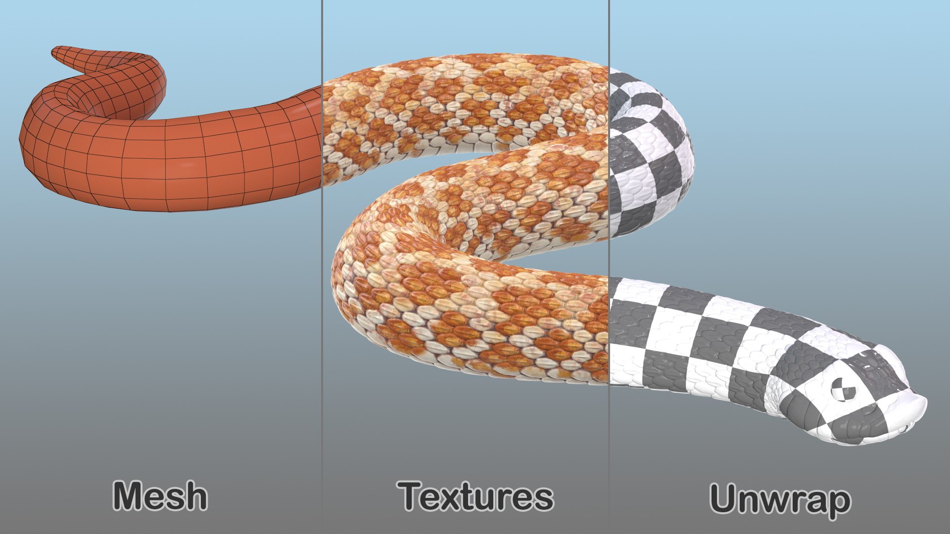 3D hognose snake crawling https://p.turbosquid.com/ts-thumb/qF/HRV0Ed/ZQaJxsbw/hognosesnakecrawling3dsmodel013/jpg/1574688016/1920x1080/fit_q87/4e5b1bf9f136372200ad52de1042d45e088c4217/hognosesnakecrawling3dsmodel013.jpg