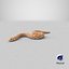 Hognose Snake Crawling