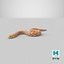Hognose Snake Crawling