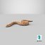 Hognose Snake Crawling