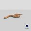 Hognose Snake Crawling