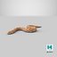 Hognose Snake Crawling