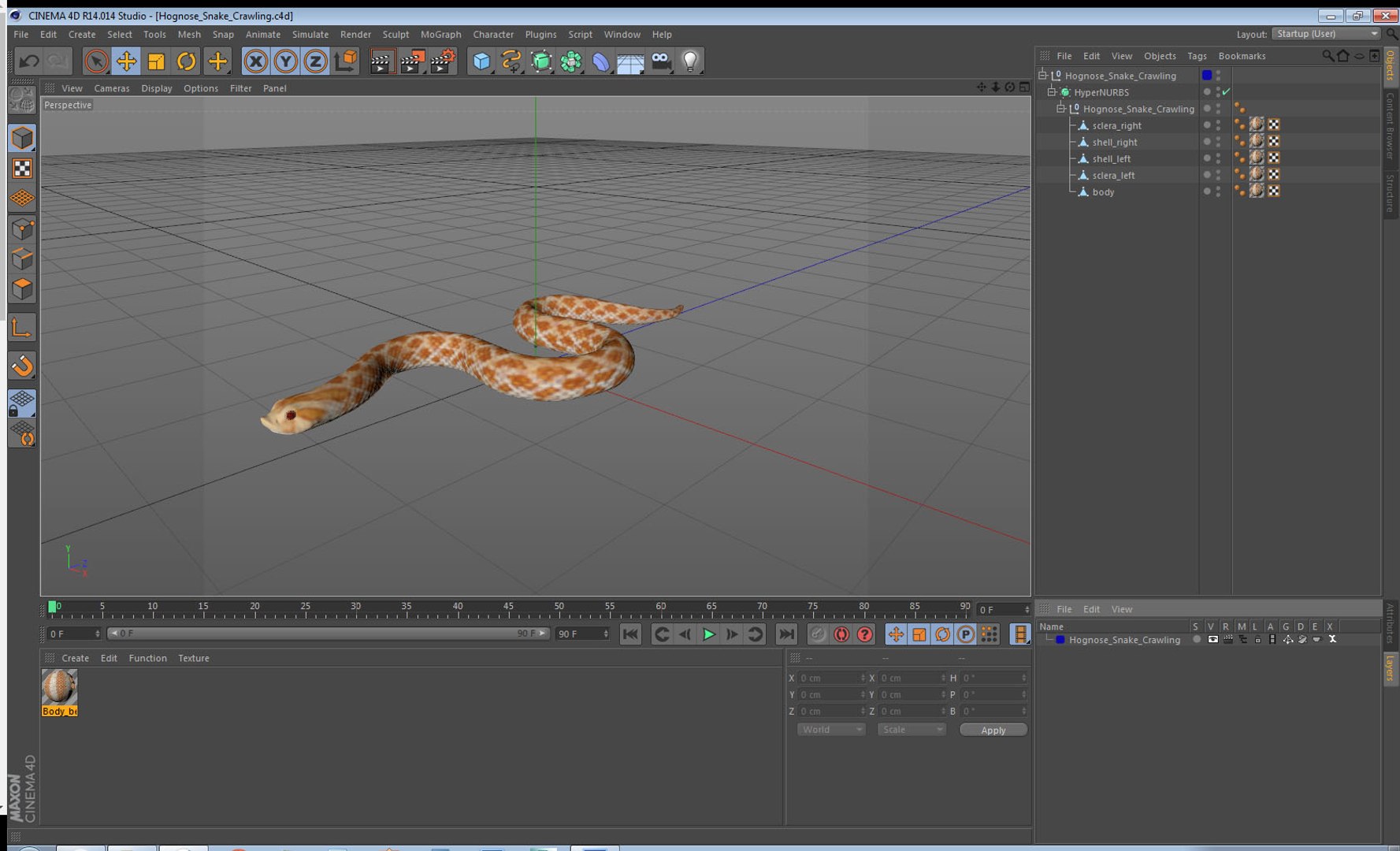 3D hognose snake crawling https://p.turbosquid.com/ts-thumb/qF/HRV0Ed/qCuKjxva/hognosesnakecrawling3dsmodel019/jpg/1574688045/1920x1080/fit_q87/c5fdcd44c6c01ba1311c0ea40530aac53f911f0e/hognosesnakecrawling3dsmodel019.jpg