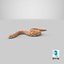 Hognose Snake Crawling