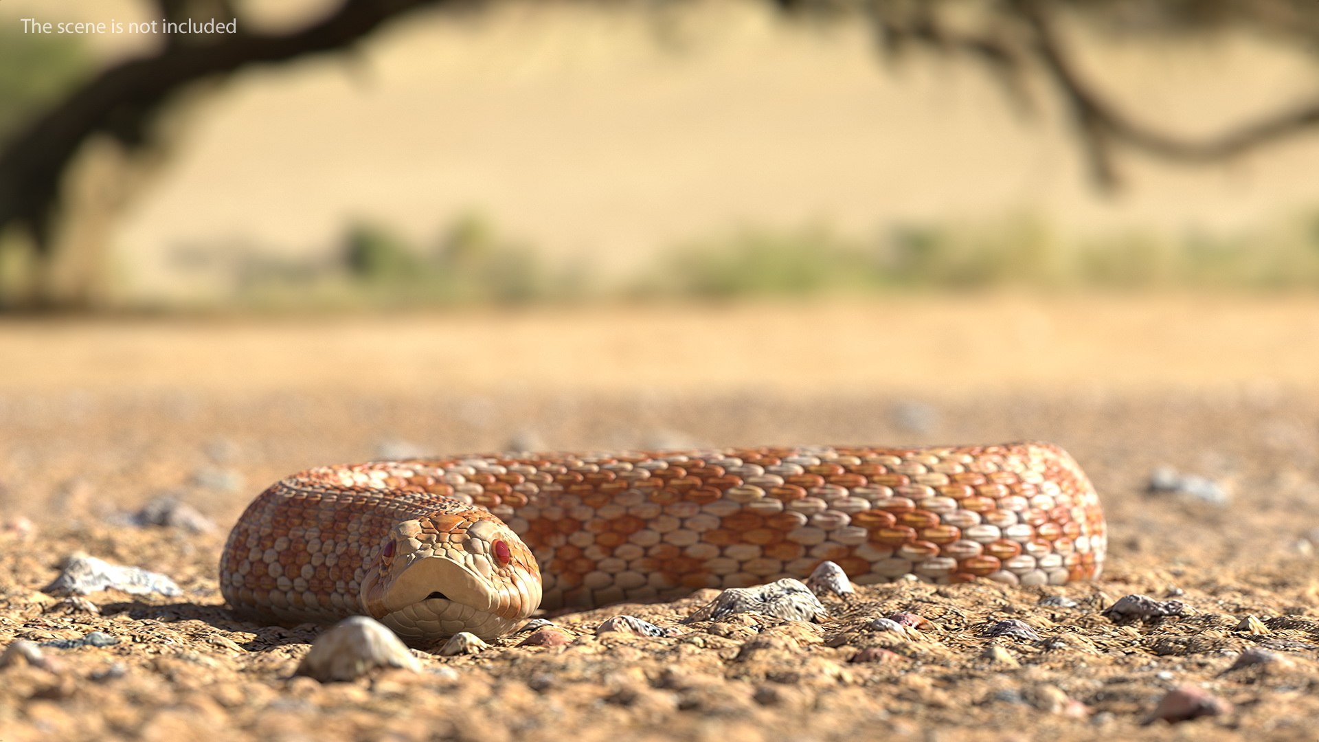 3D hognose snake crawling https://p.turbosquid.com/ts-thumb/qF/HRV0Ed/uY0OY8EV/hognosesnakecrawling3dsmodel003/jpg/1574687971/1920x1080/fit_q87/00eea41f9c9f1250215127fbe933da11cc67f3d3/hognosesnakecrawling3dsmodel003.jpg