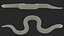 Hognose Snake Crawling