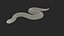 Hognose Snake Crawling