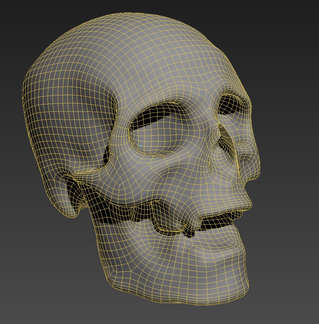 Real Human Skull 3D - TurboSquid 1572292