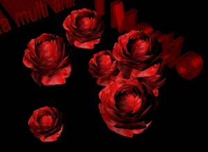 rose.max