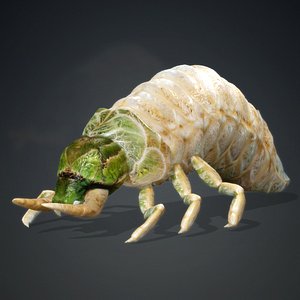 Larval-V1a