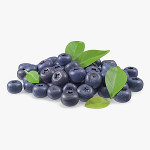 3D Bunch of Garden Ripe Blueberries