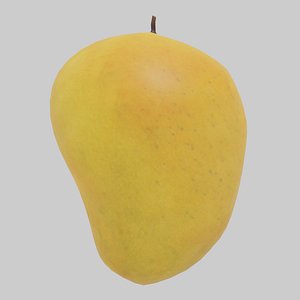 mango model
