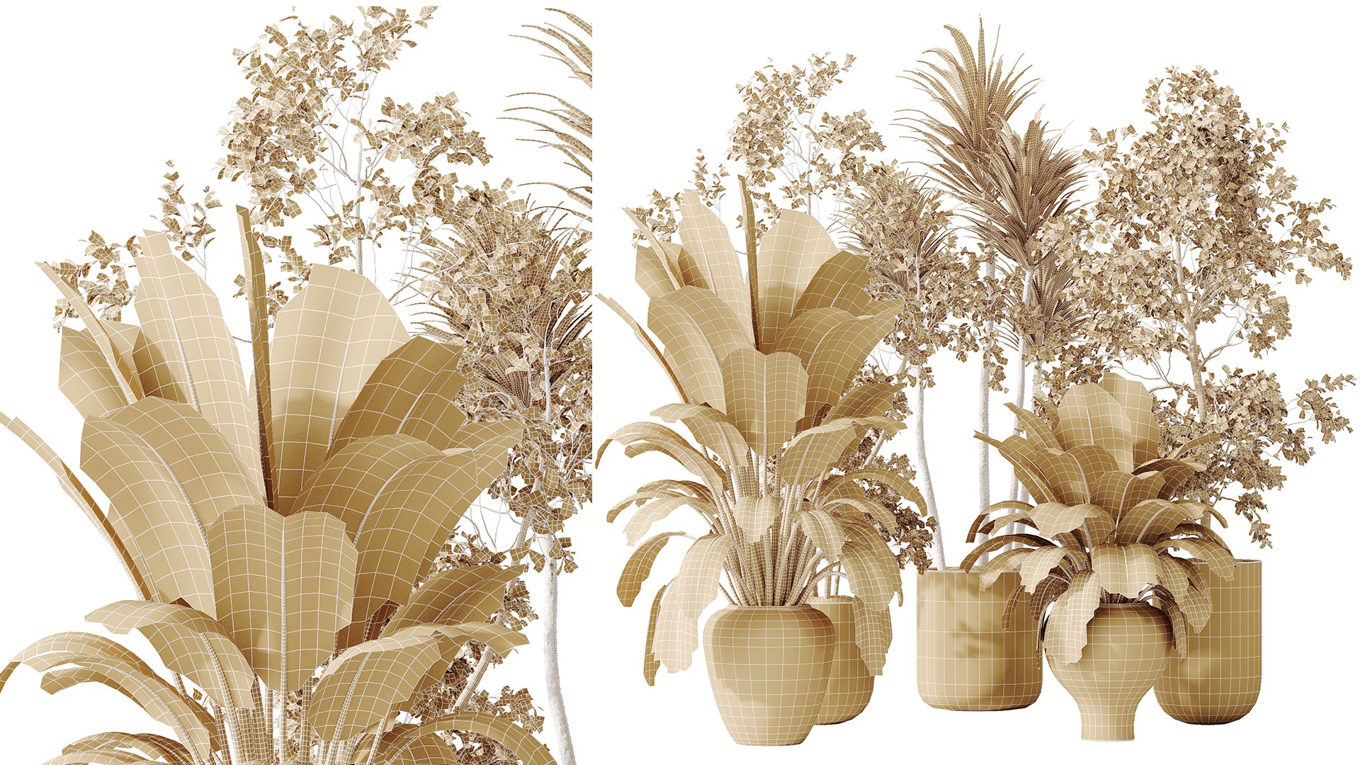 3D AV Indoor plants set 171 Beech Olea Europaea Olive and Mission Arbequina Olive and Ficus Robusta Abi model https://p.turbosquid.com/ts-thumb/qF/pU3b7O/Uh/07/png/1737016185/1920x1080/fit_q87/d8d752ee5306705457505b5f77d2c843fcc153e4/07.jpg
