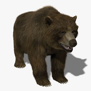 3d model bear fur