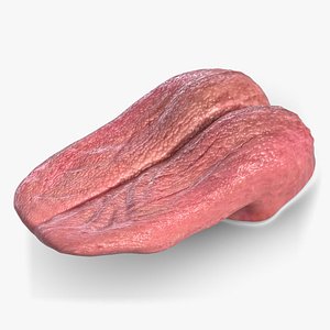 3D dog tongue model