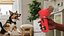 Puppy Snack Thrower Red with Food