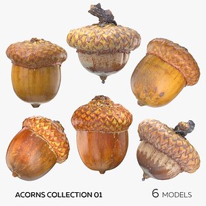 3D Acorns Collection 01 - 6 models model