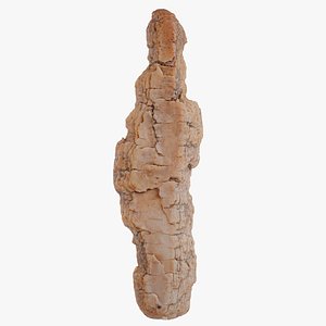 Birch Bark Betula Big Wood 04 3D model
