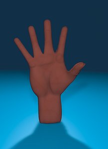 dark skin rigged hand