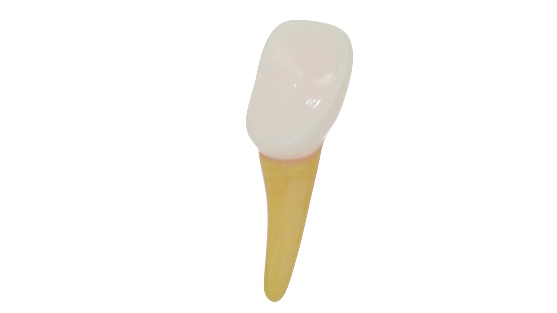 3D teeth anatomy model https://p.turbosquid.com/ts-thumb/qG/Sarvbp/4W/product_0009/png/1611544491/1920x1080/fit_q87/2e68e03a95e11d90bd16972d4873c9cdbe108339/product_0009.jpg