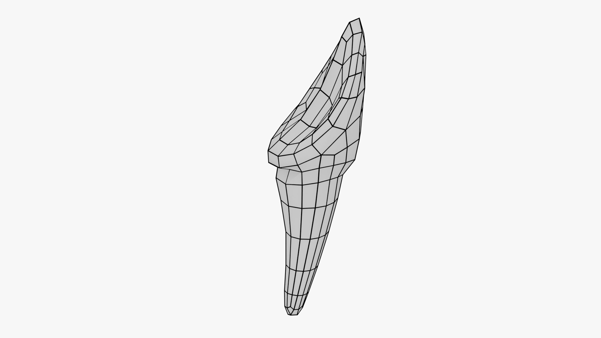 3D teeth anatomy model https://p.turbosquid.com/ts-thumb/qG/Sarvbp/90/wire_0030/png/1611544651/1920x1080/fit_q87/c6f67218bf2e225b16b0572c36a1bcc003c5b195/wire_0030.jpg