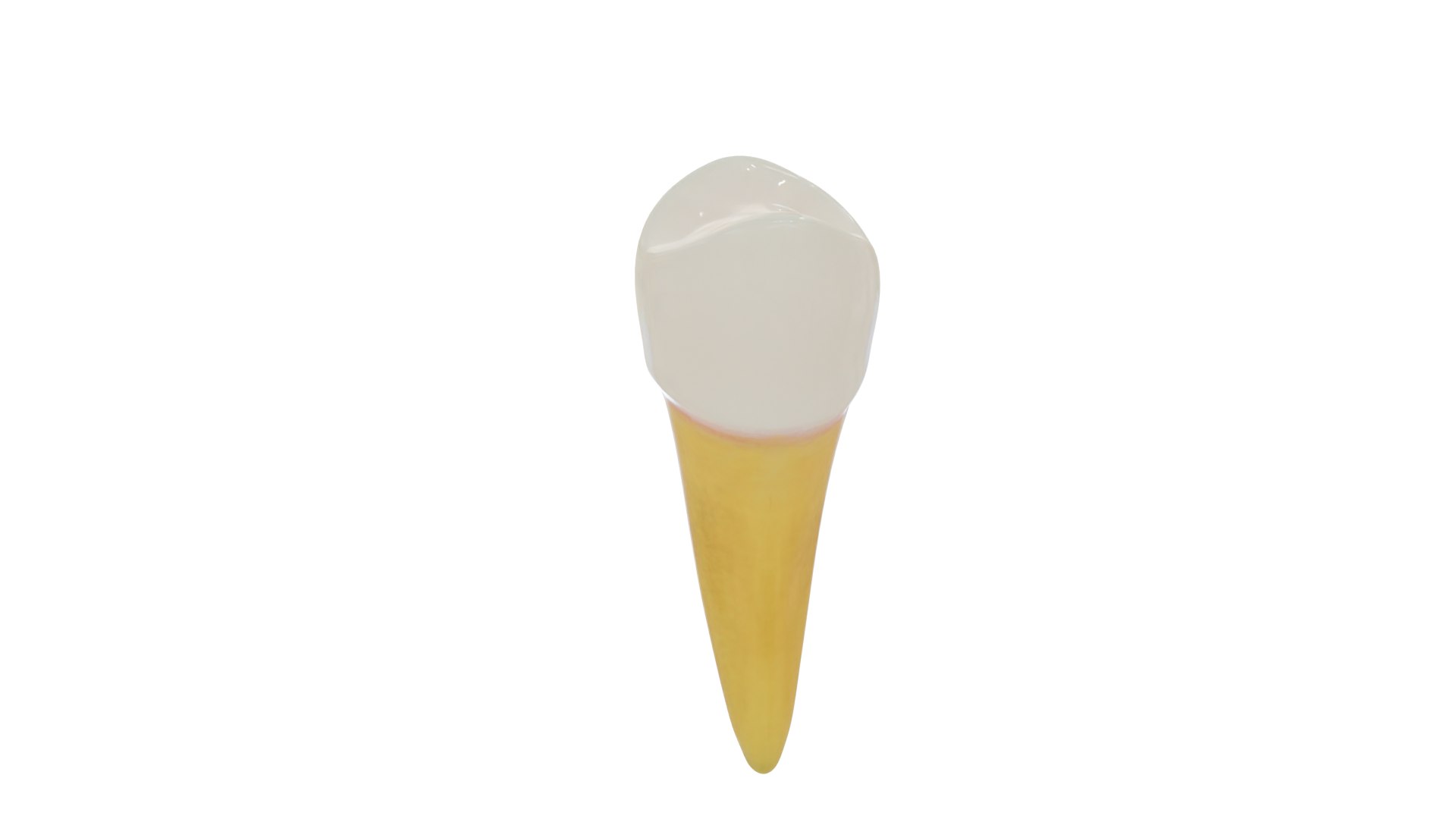 3D teeth anatomy model https://p.turbosquid.com/ts-thumb/qG/Sarvbp/No/product_0060/png/1611544494/1920x1080/fit_q87/475dbc78598763e1dfd67d6b7293c5f74d4891c0/product_0060.jpg