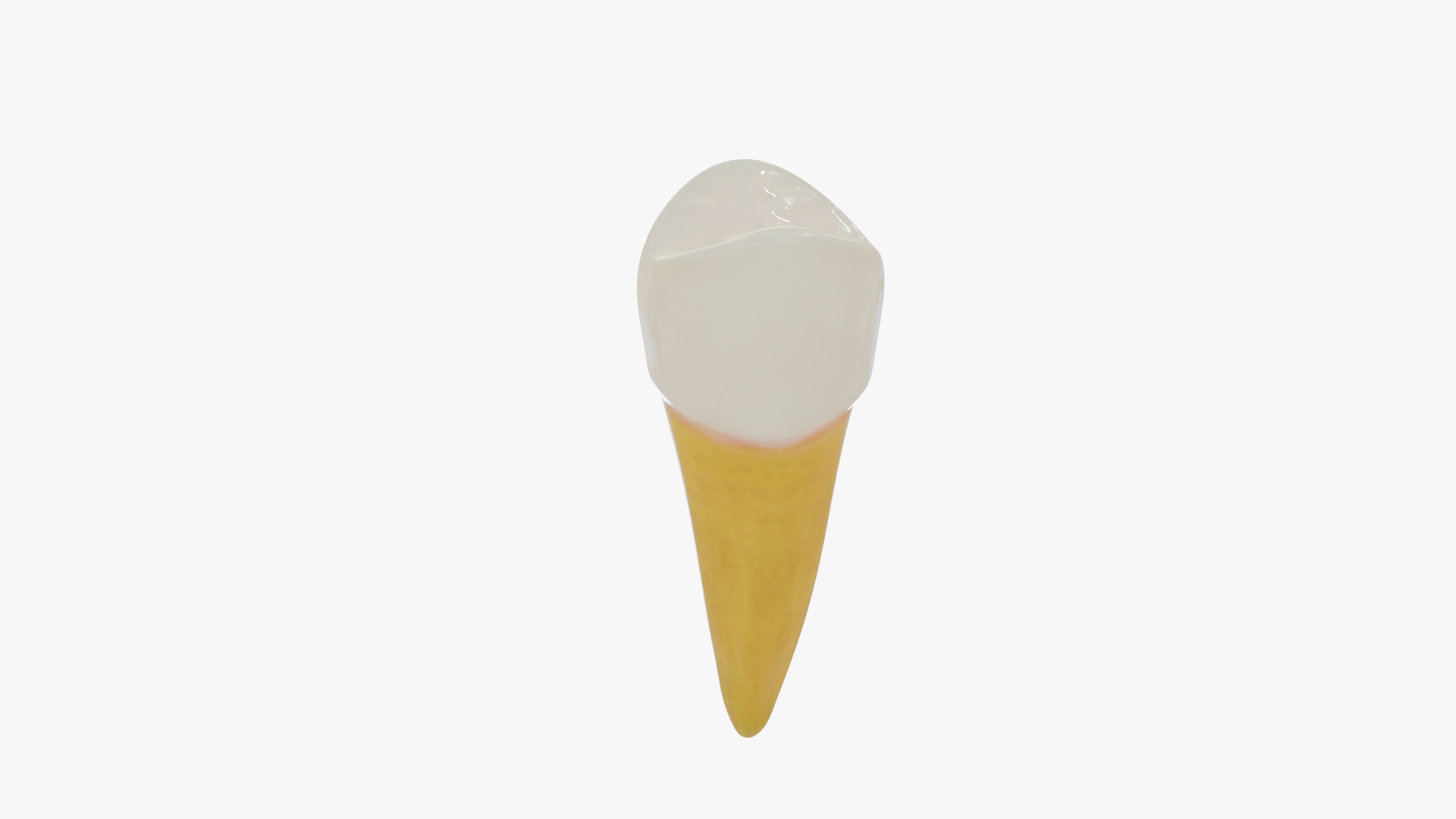 3D teeth anatomy model https://p.turbosquid.com/ts-thumb/qG/Sarvbp/Pr/premolar/jpg/1611544866/1920x1080/turn_fit_q99/3451a25d2f7a68a0bb4507022daf013e71ea389f/premolar-1.jpg