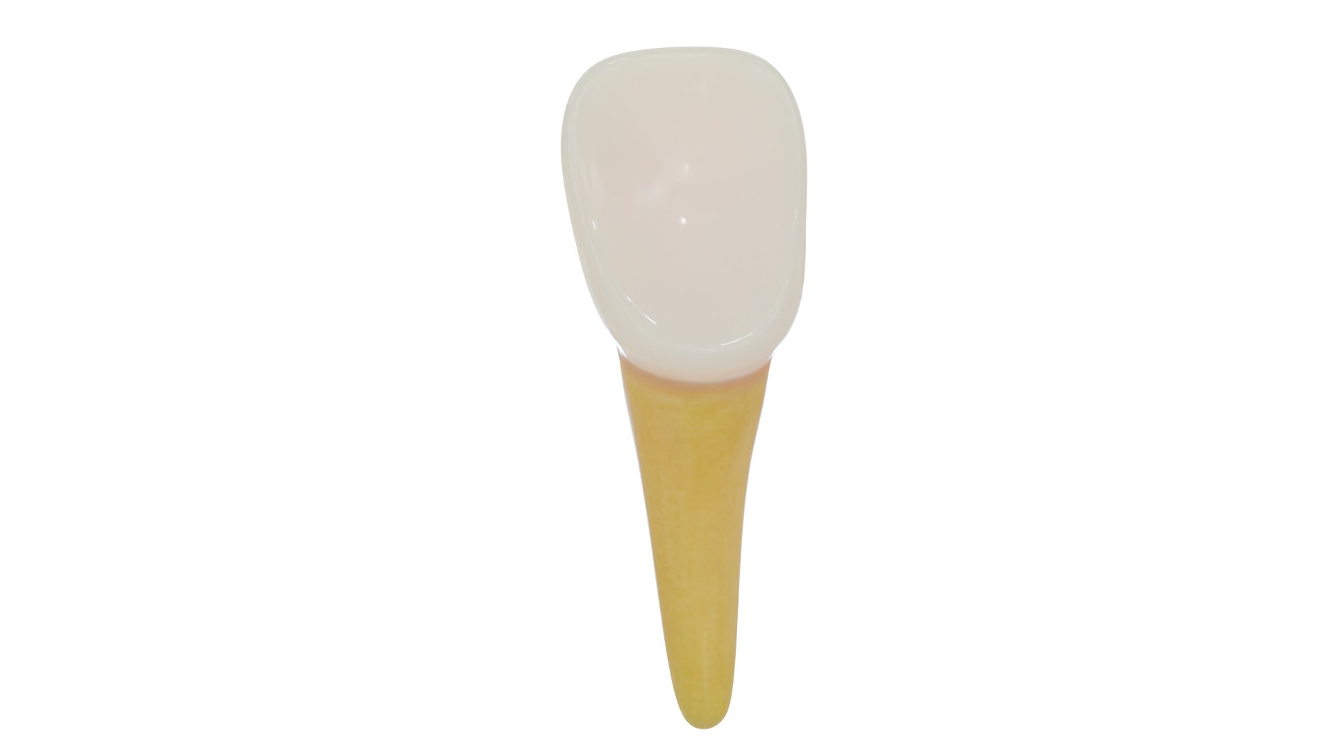 3D teeth anatomy model https://p.turbosquid.com/ts-thumb/qG/Sarvbp/wD/product_0012/png/1611544491/1920x1080/fit_q87/32f195e0744ba6dda39482c4e6cb192296f734cb/product_0012.jpg