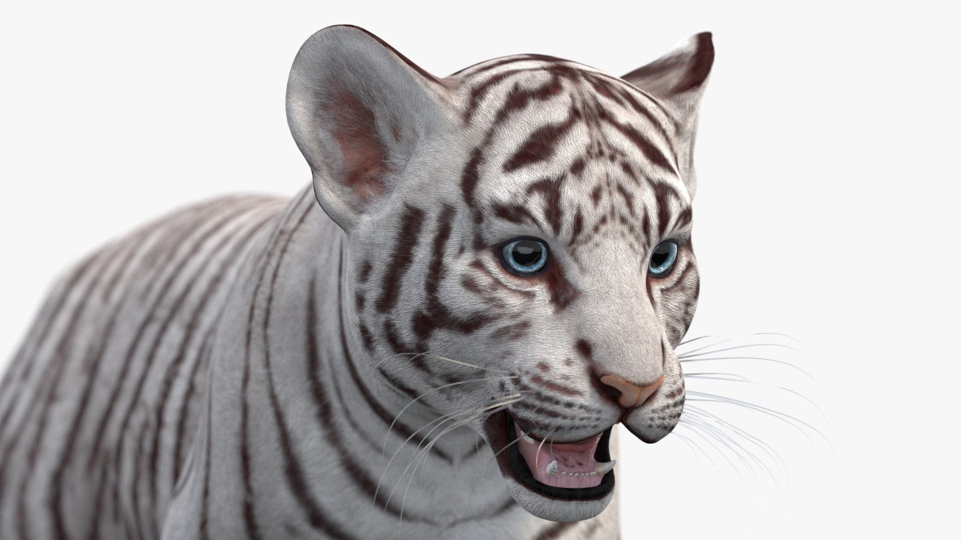 3D Rigged White Tiger Cub 3D Model - TurboSquid 2333549