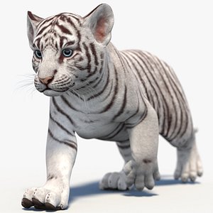 3D Rigged White Tiger  Cub 3D Model