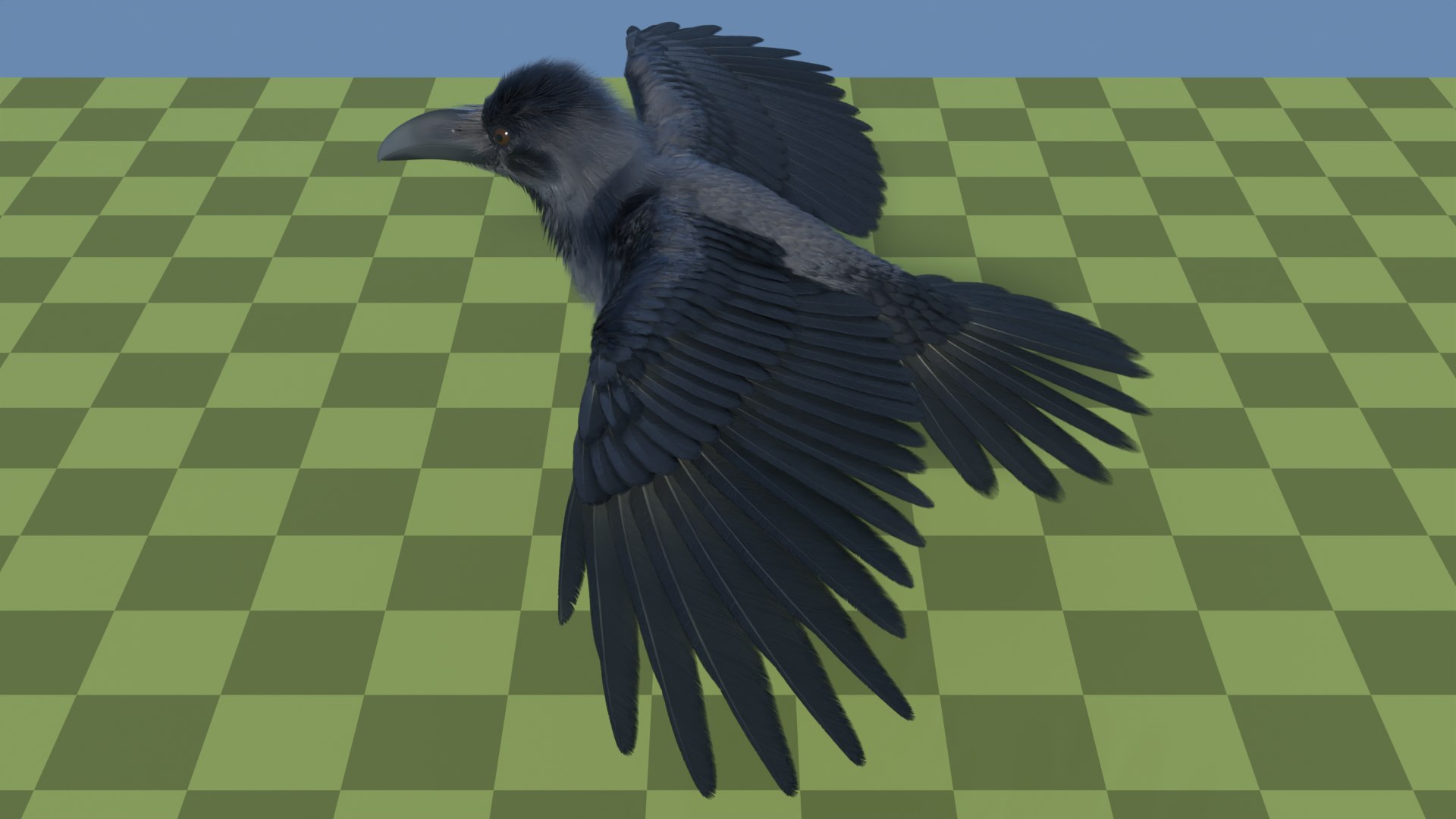 3D Jungle Crow - TurboSquid 2164623