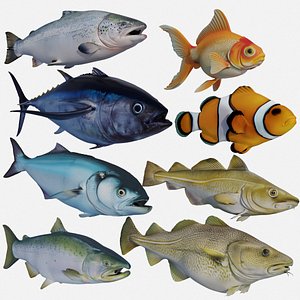 Fish - Set of 8 - Tuna Salmon Cod Trout model