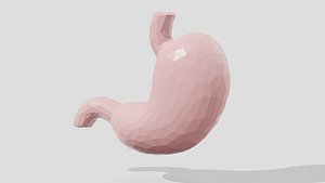 3D Pink low poly organ stomach