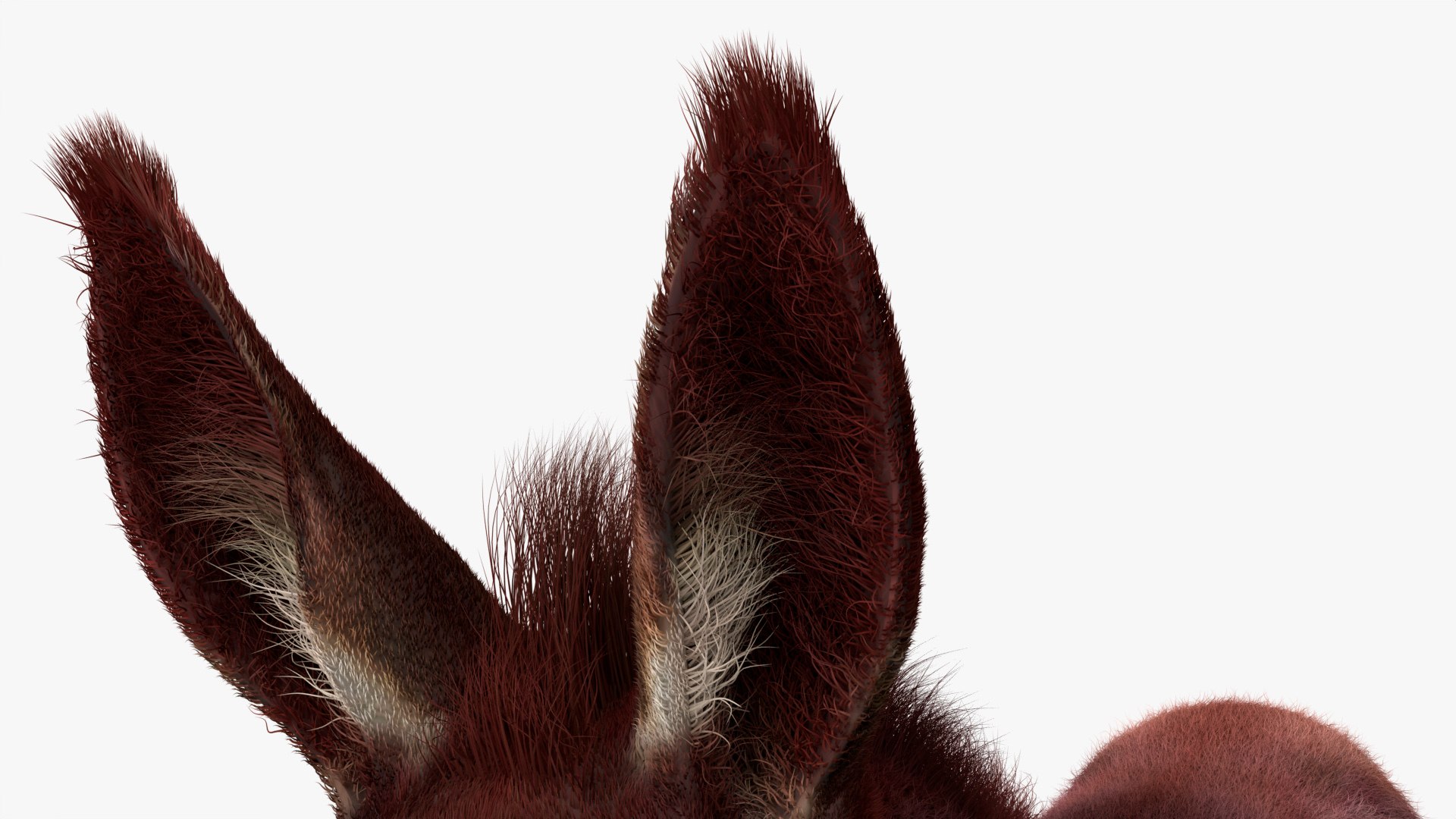 3D Farm Mule Walking Animated Fur Rigged For Blender model https://p.turbosquid.com/ts-thumb/qH/As1J9u/iG/farm_mule_walking_animated_fur_rigged_for_blender_012/jpg/1780010243/1920x1080/fit_q87/f8e7eb106009b253ab2bd984d2d8f670a9297488/farm_mule_walking_animated_fur_rigged_for_blender_012.jpg