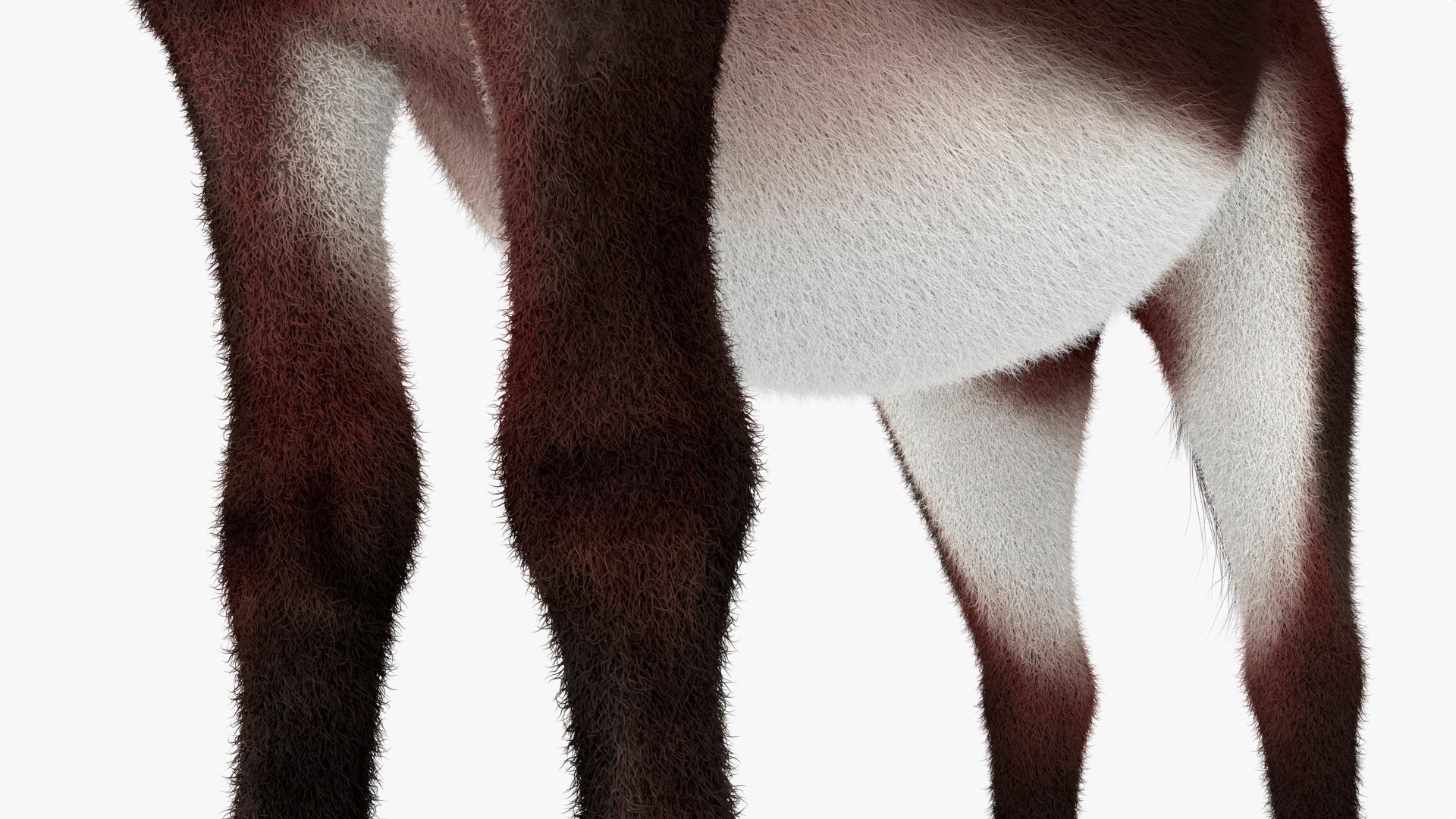 3D Farm Mule Walking Animated Fur Rigged For Blender model https://p.turbosquid.com/ts-thumb/qH/As1J9u/n3/farm_mule_walking_animated_fur_rigged_for_blender_010/jpg/1780010237/1920x1080/fit_q87/83919a6978b86862fe985bbd39c3b30be177402e/farm_mule_walking_animated_fur_rigged_for_blender_010.jpg