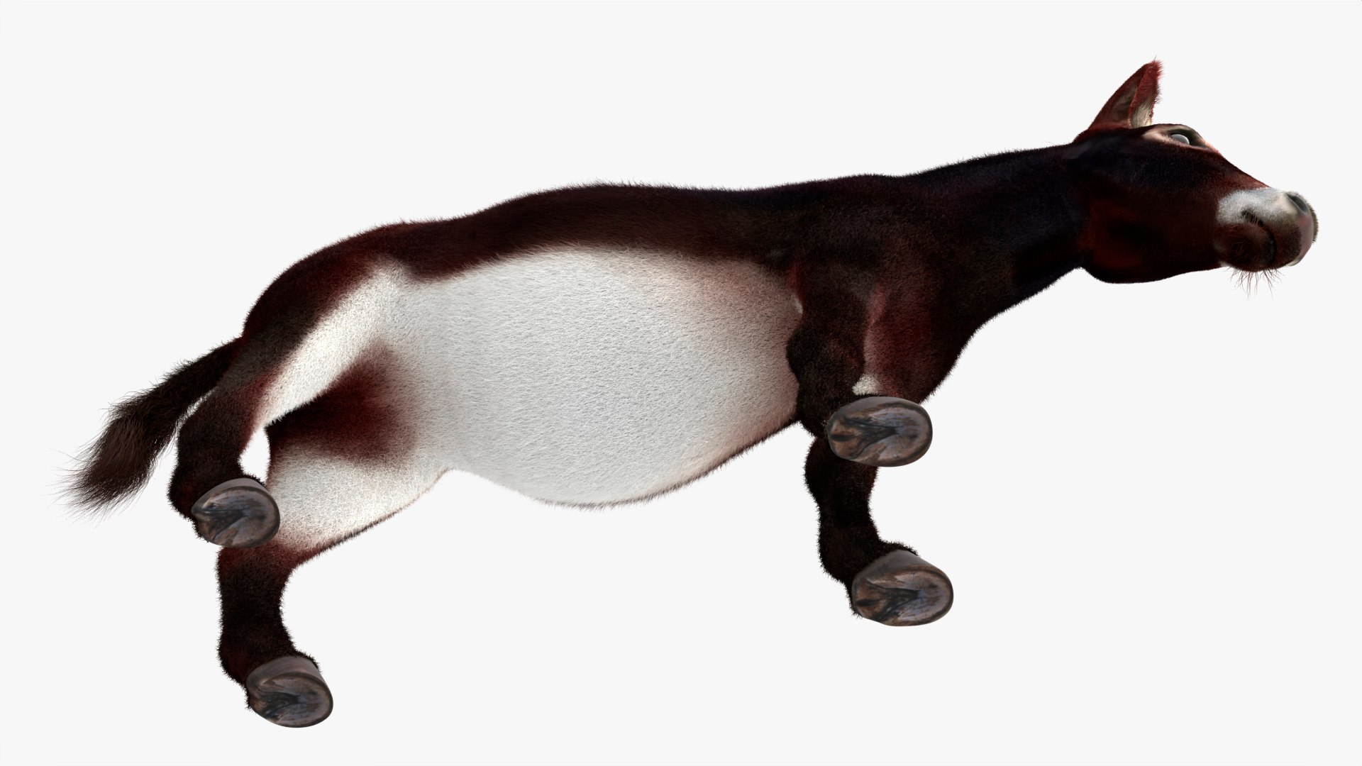 3D Farm Mule Walking Animated Fur Rigged For Blender model https://p.turbosquid.com/ts-thumb/qH/As1J9u/qT/farm_mule_walking_animated_fur_rigged_for_blender_009/jpg/1780010234/1920x1080/fit_q87/8cdaf5cc9c1f7e75865405bc068623b19b0c5990/farm_mule_walking_animated_fur_rigged_for_blender_009.jpg