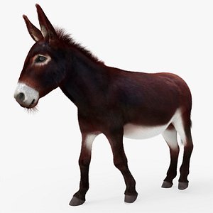 3D Farm Mule Walking Animated Fur Rigged For Blender model