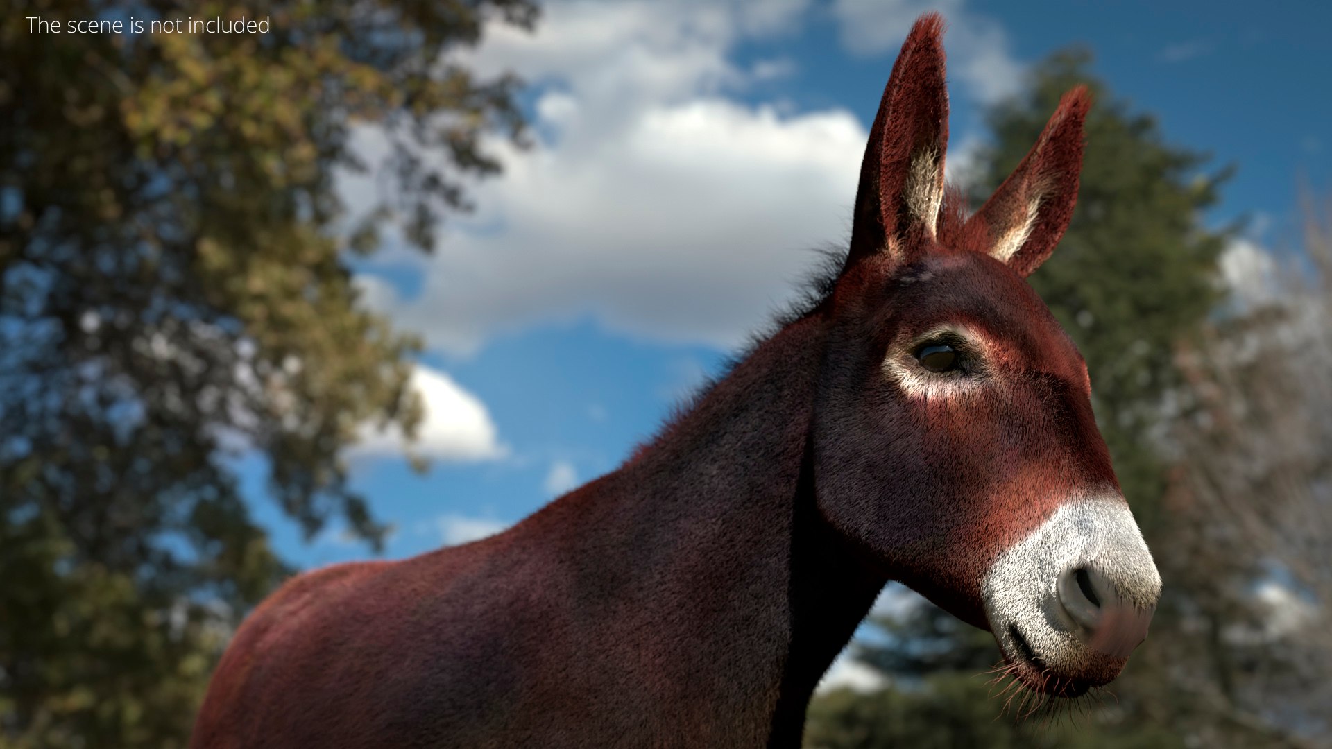 3D Farm Mule Walking Animated Fur Rigged For Blender model https://p.turbosquid.com/ts-thumb/qH/As1J9u/sS/farm_mule_walking_animated_fur_rigged_for_blender_003/jpg/1780010216/1920x1080/fit_q87/5696265884eccf3a0a69405530d99b93e0674eba/farm_mule_walking_animated_fur_rigged_for_blender_003.jpg