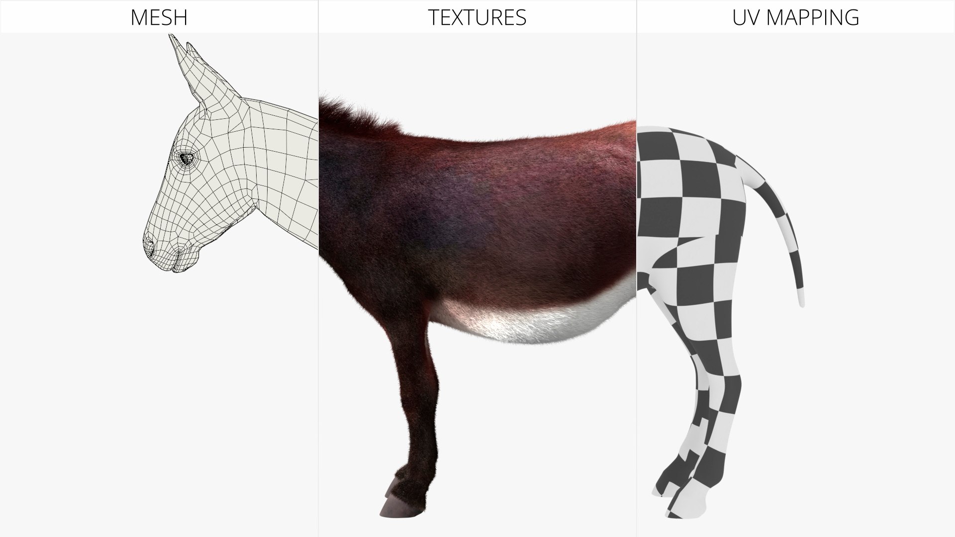 3D Farm Mule Walking Animated Fur Rigged For Blender model https://p.turbosquid.com/ts-thumb/qH/As1J9u/uy/farm_mule_walking_animated_fur_rigged_for_blender_013/jpg/1780010246/1920x1080/fit_q87/0554e4b2c7cbd426c688d9428b8ddb0ea5936ac1/farm_mule_walking_animated_fur_rigged_for_blender_013.jpg